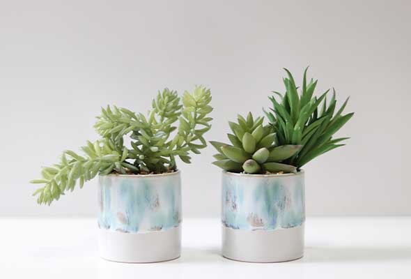 WHITSTABLE SET OF 2 SUCCULENTS