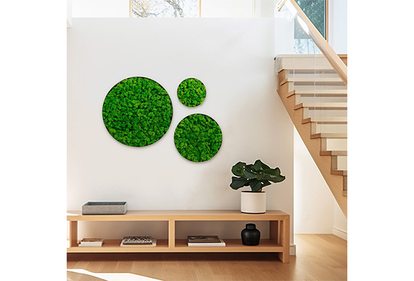 Circles Moss Wall Decor